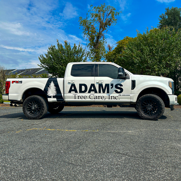 Adam's Tree Care.png