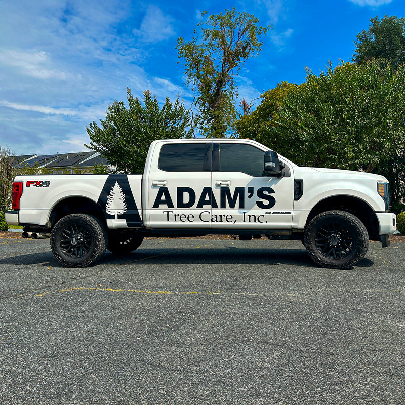Adam's Tree Care.png