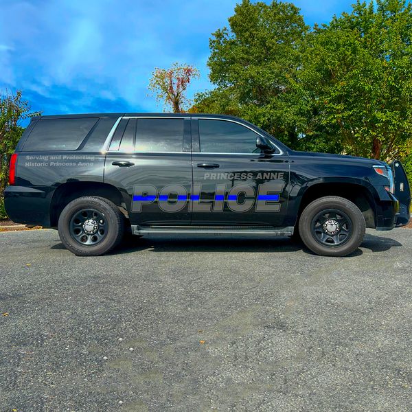 Princess Anne PD.png